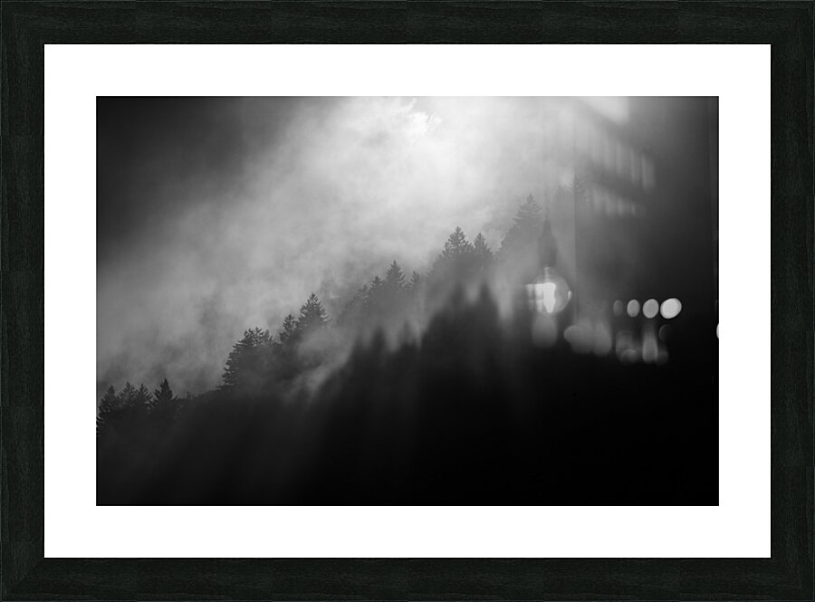 Smoky Trees Impression et Cadre photo