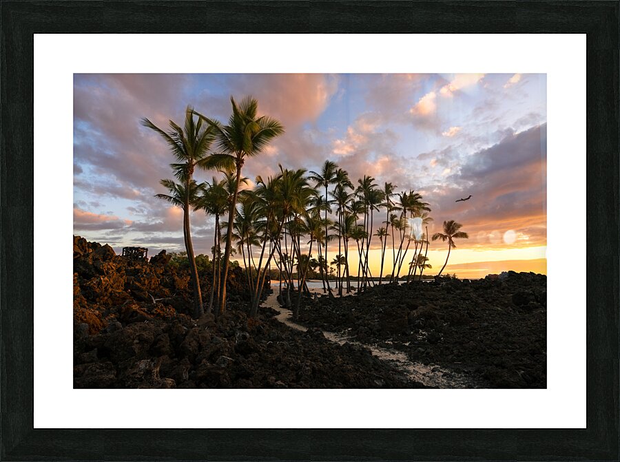 A Patch Of Paradise Picture Frame print