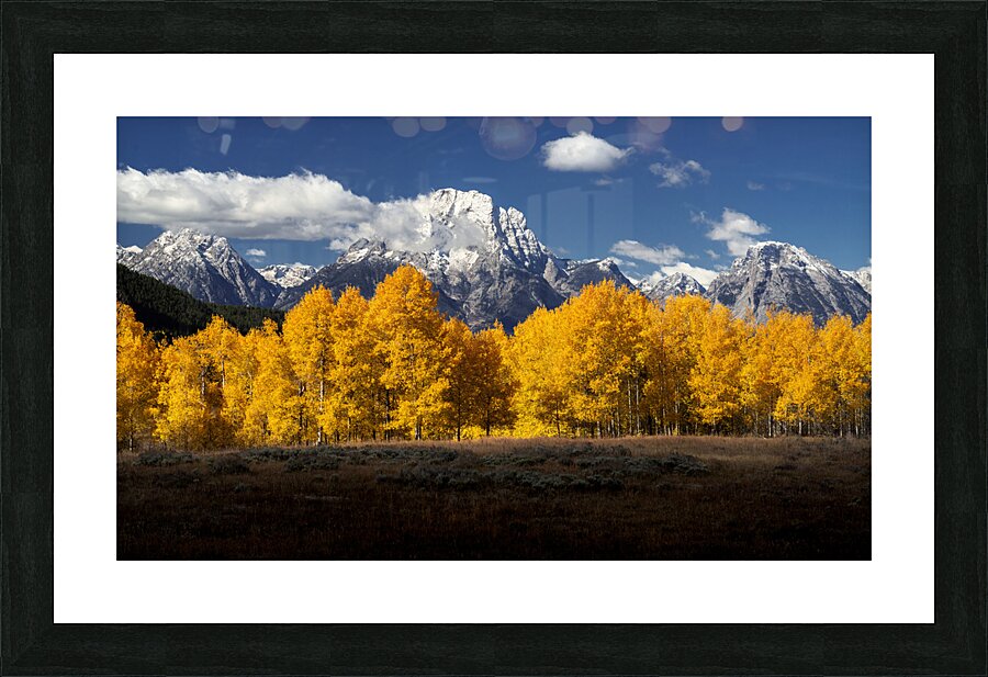 Fall In Wyoming Picture Frame print