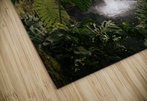 Deep In The Jungle Wes Powell puzzle