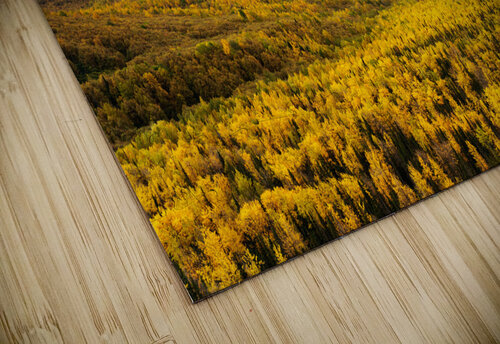 Golden Alaska Wes Powell puzzle