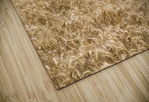 Fields Of Wheat Wes Powell puzzle