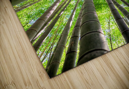 Bamboo Forest Wes Powell puzzle