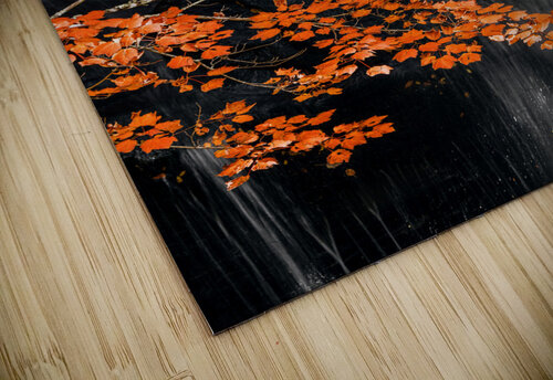 Autumn Waterfall Wes Powell puzzle