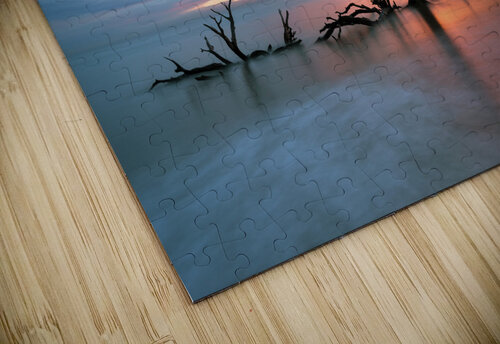 The Last Standing Tree Wes Powell puzzle