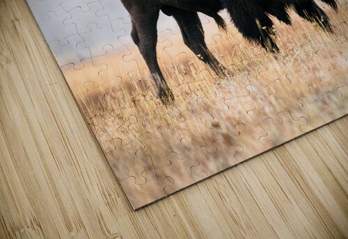 American Buffalo Wes Powell puzzle