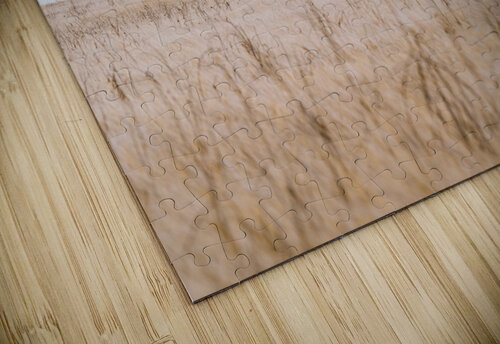 Shaped By Wind Wes Powell puzzle