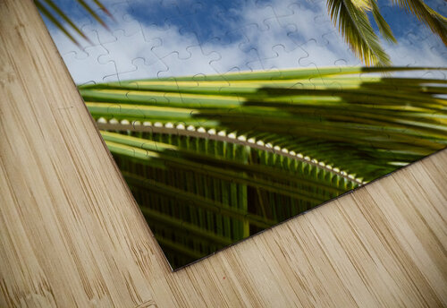 Palm Tree Skies Wes Powell puzzle