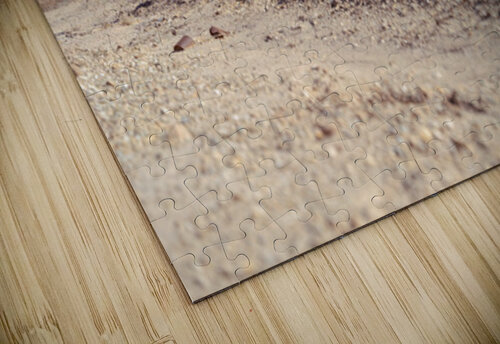 Feeling Low  Wes Powell puzzle