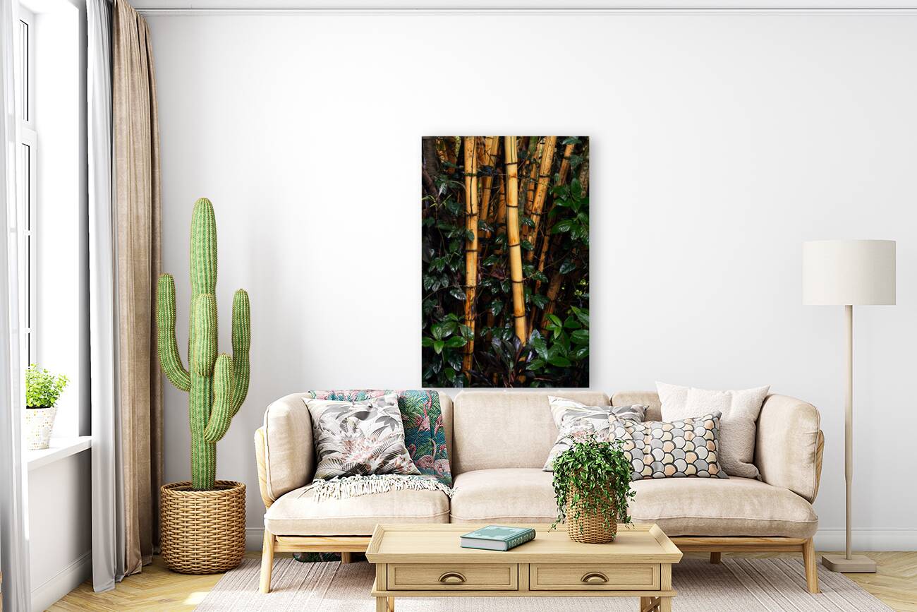 Hawaiian Forest Reproduction