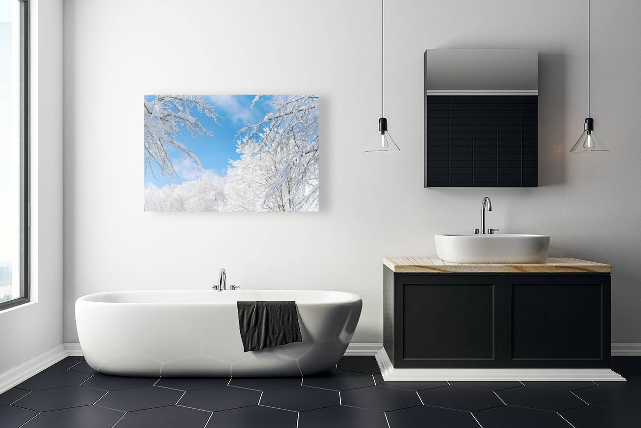 Snowy Skies Reproduction