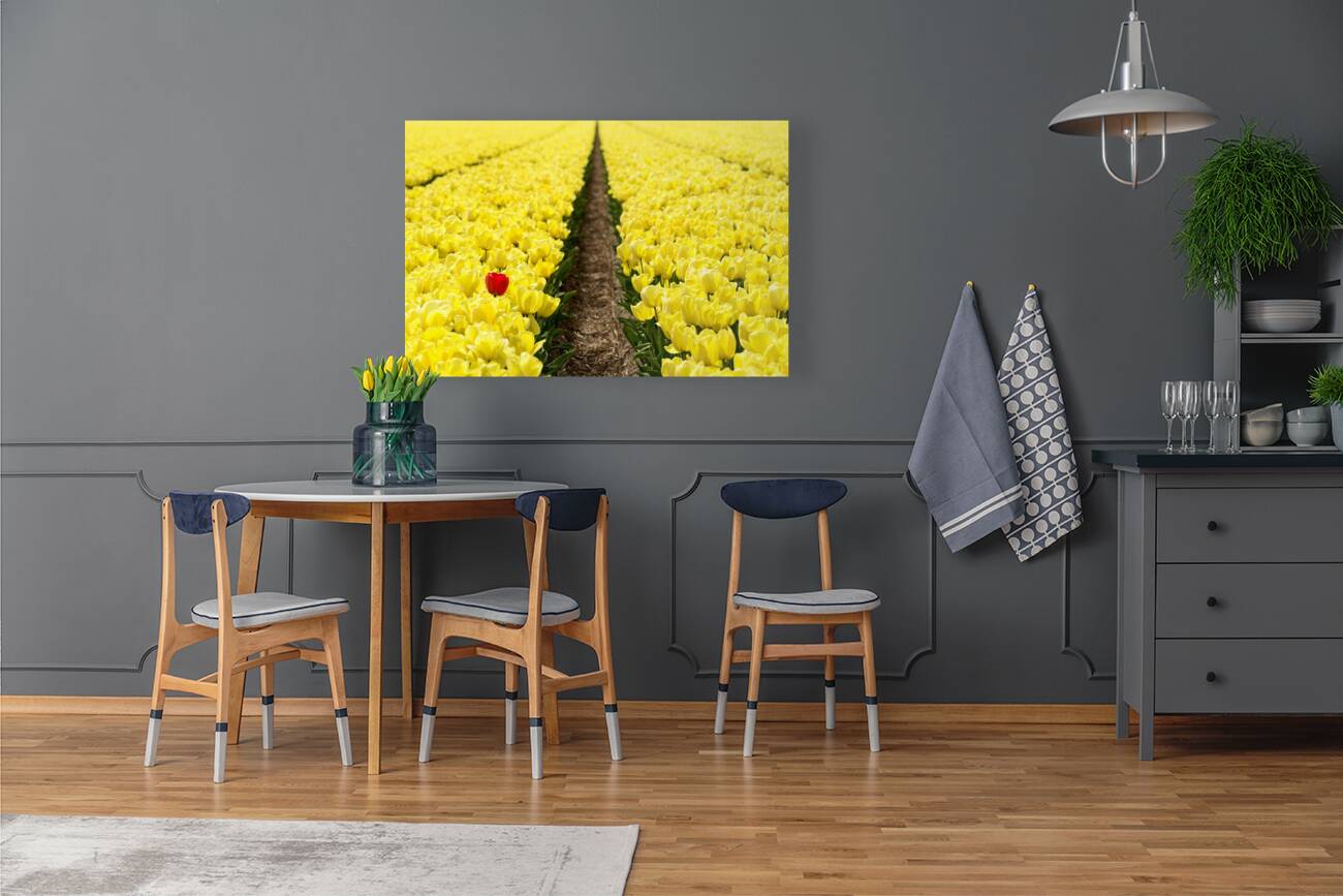 Red Amongst The Yellows Reproduction