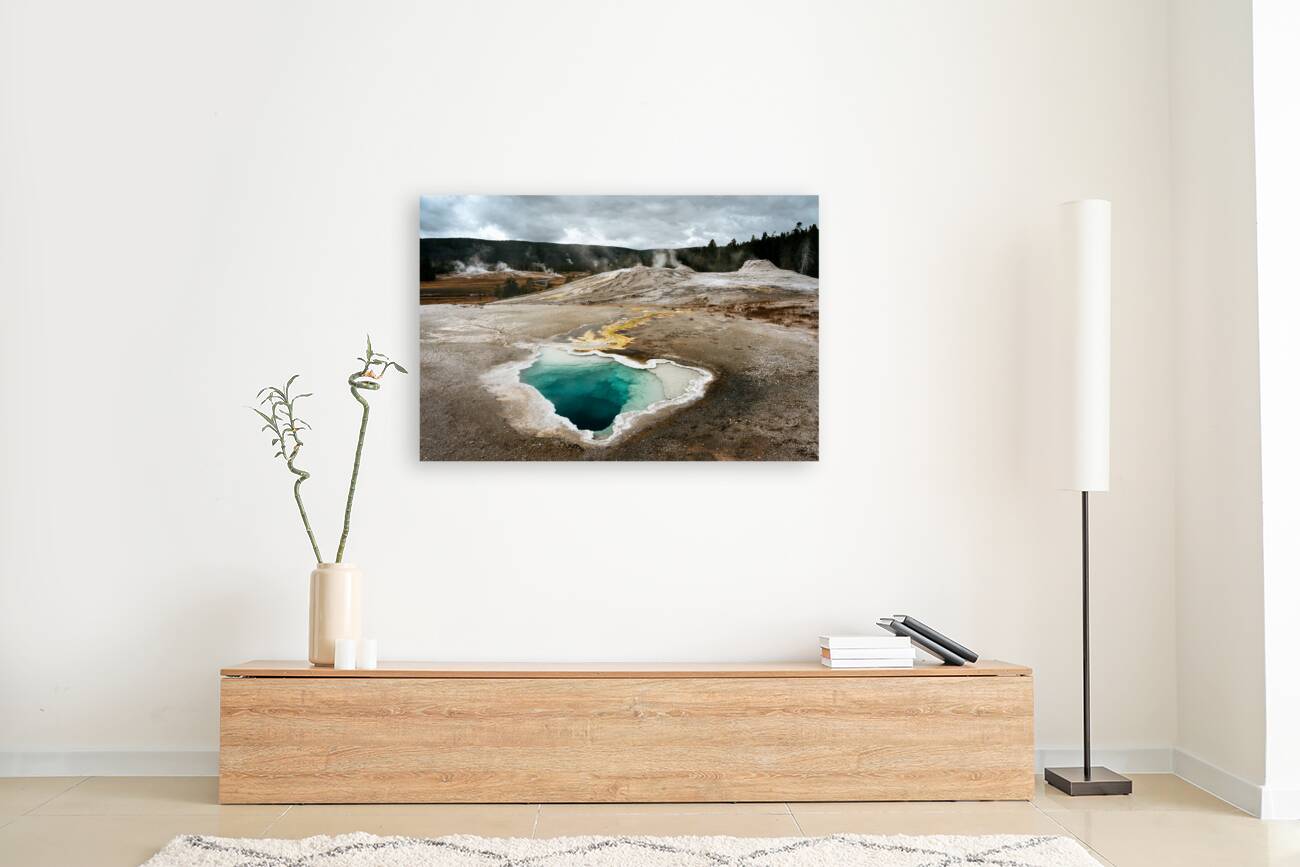 Yellowstone Reproduction