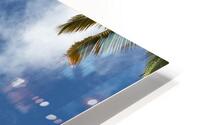 Palm Tree Skies HD Metal print