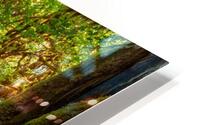 The Rainforest HD Metal print