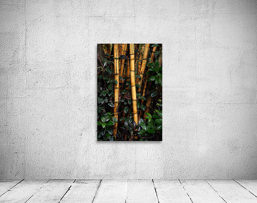 Hawaiian Forest Wall Preview