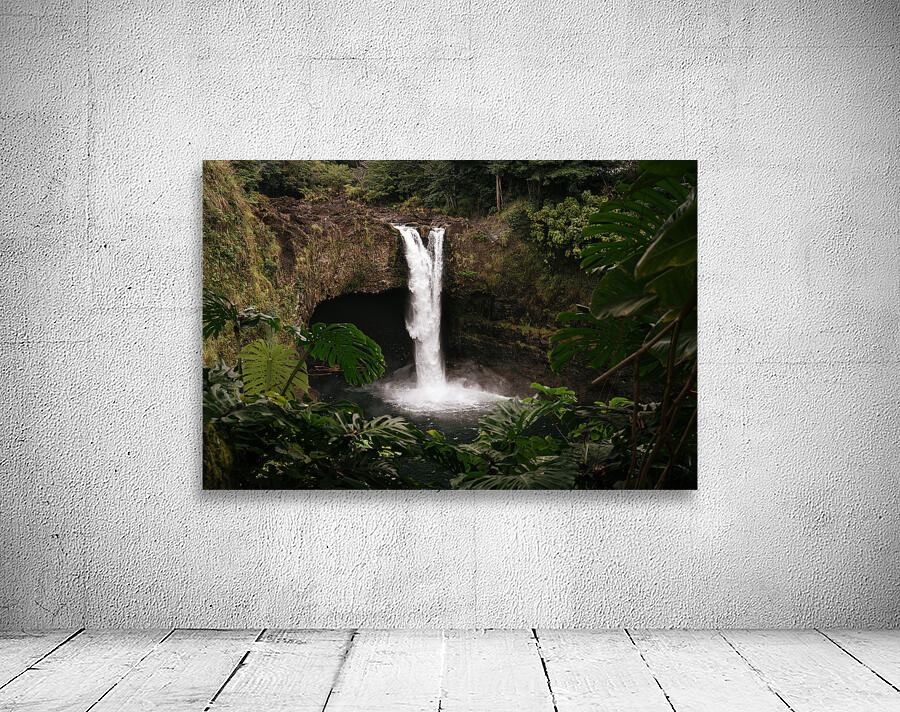 Deep In The Jungle Wall Preview