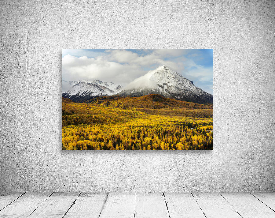 Golden Alaska Wall Preview