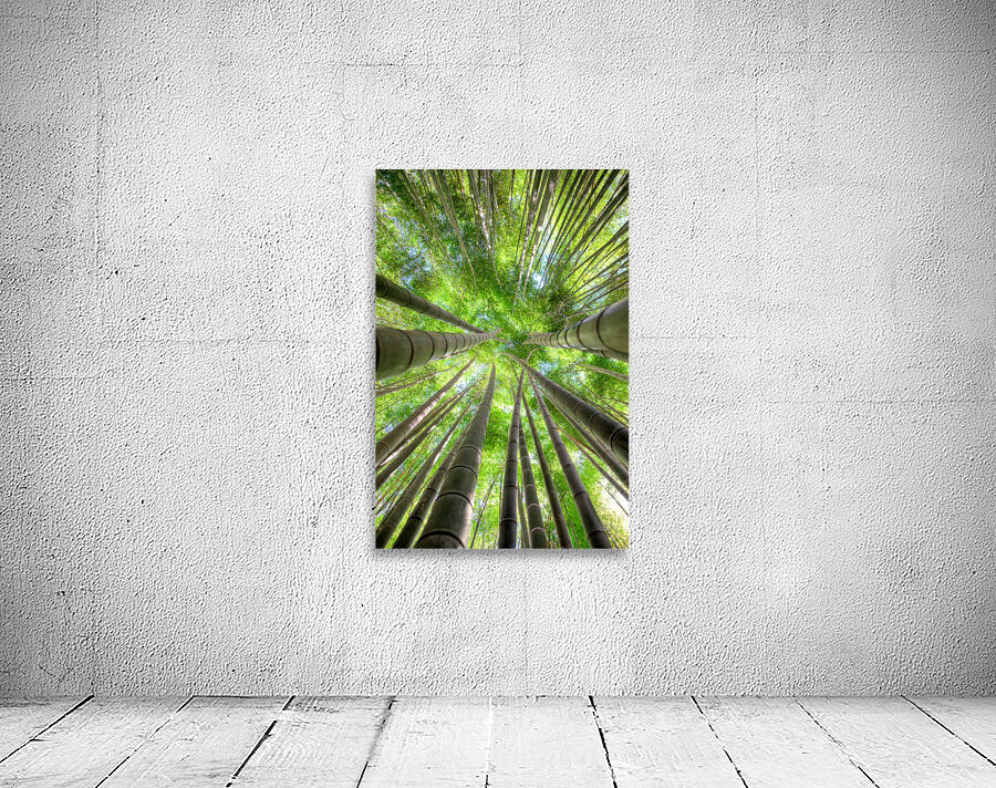 Bamboo Forest Wall Preview