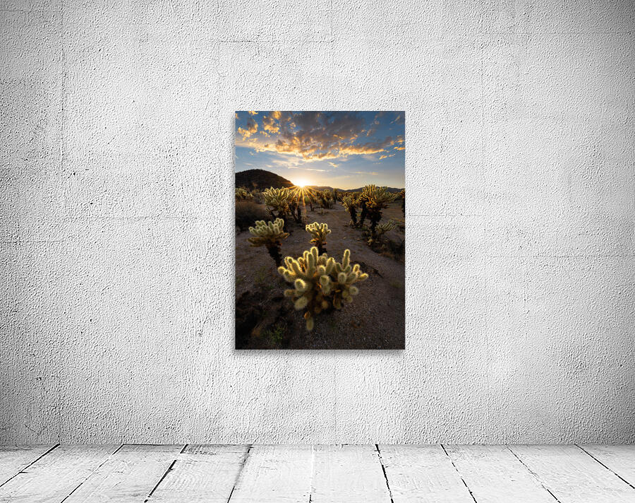 Cactus Garden At Sunset Wall Preview