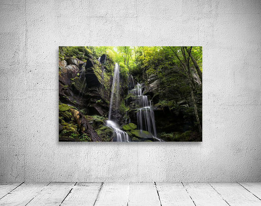 Hidden Falls Wall Preview