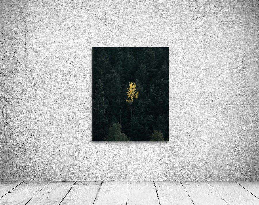 Odd Man Out Wall Preview