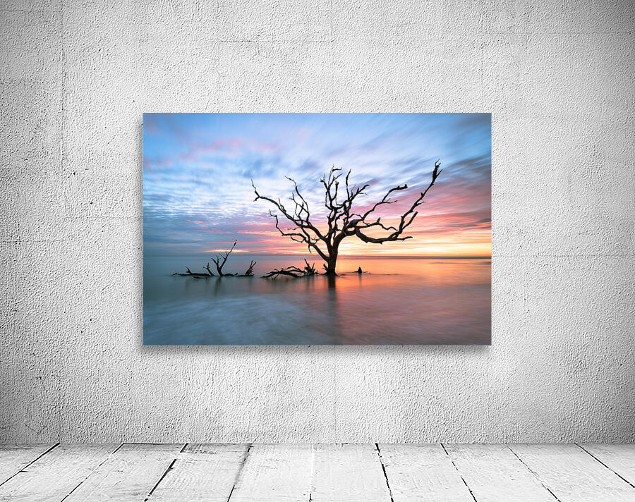 The Last Standing Tree Wall Preview