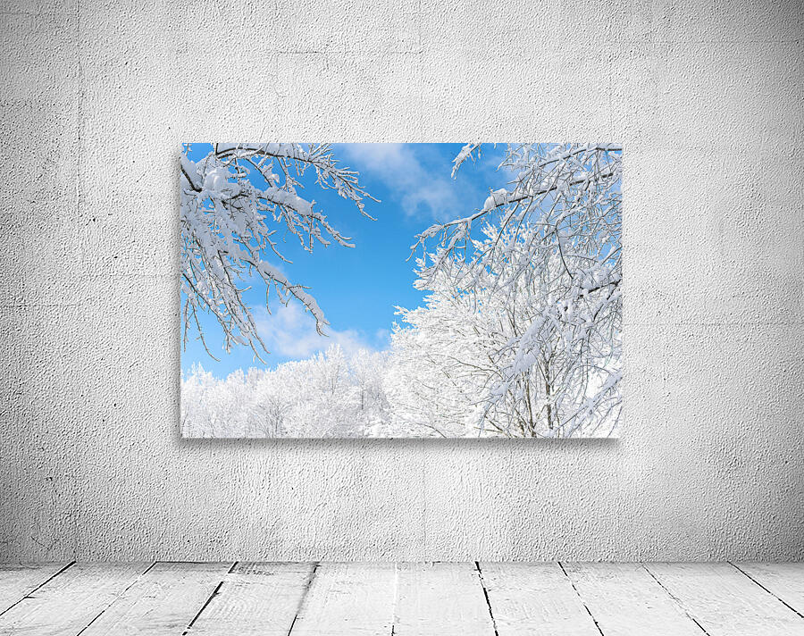 Snowy Skies Wall Preview