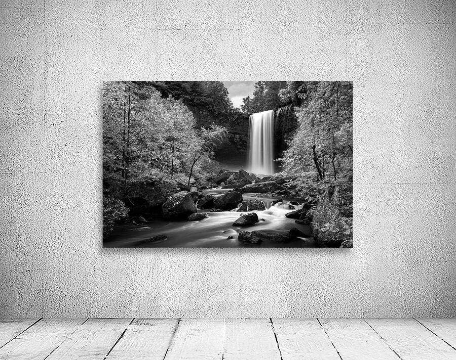 Southern Waterfall Wall Preview