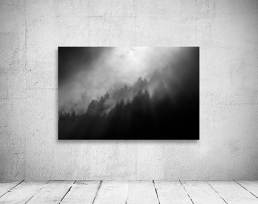 Smoky Trees Wall Preview