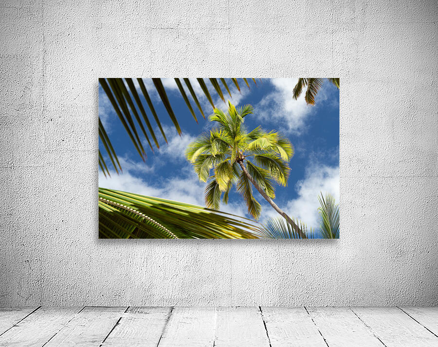 Palm Tree Skies Wall Preview