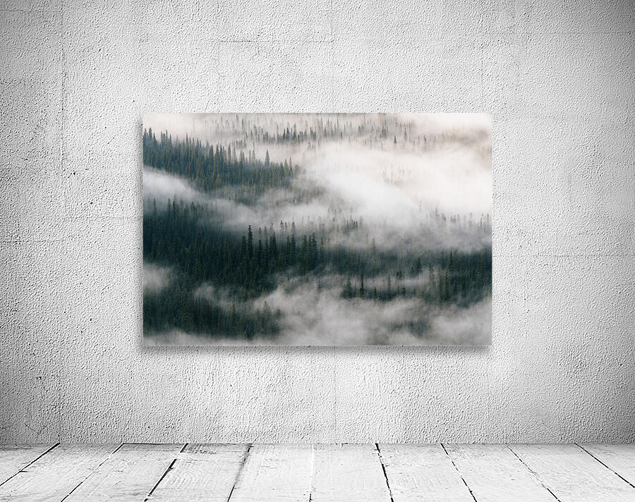 Foggy Mornings In The Valley Wall Preview