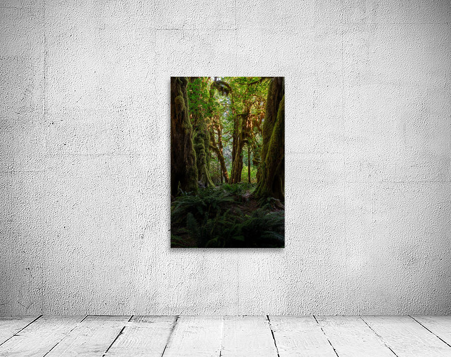 The Rainforest Wall Preview