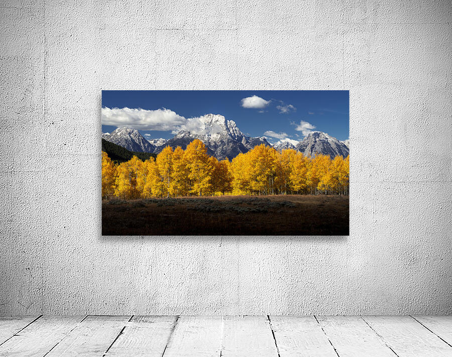 Fall In Wyoming Wall Preview