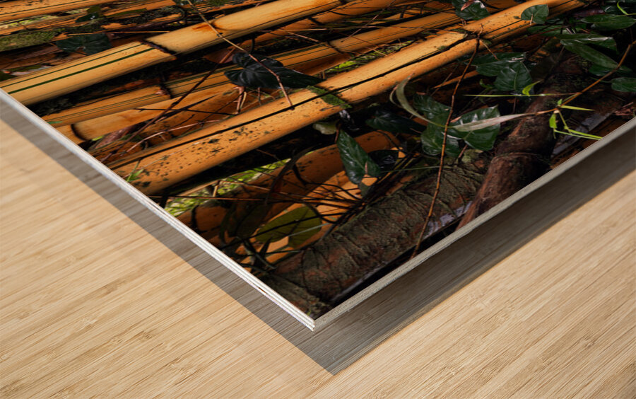 Hawaiian Forest Wood print