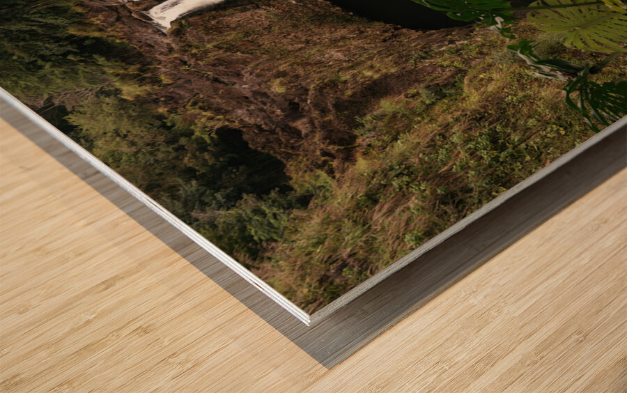 Deep In The Jungle Wood print