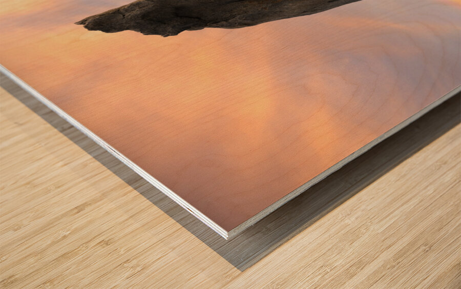 Arch At Sunset Wood print