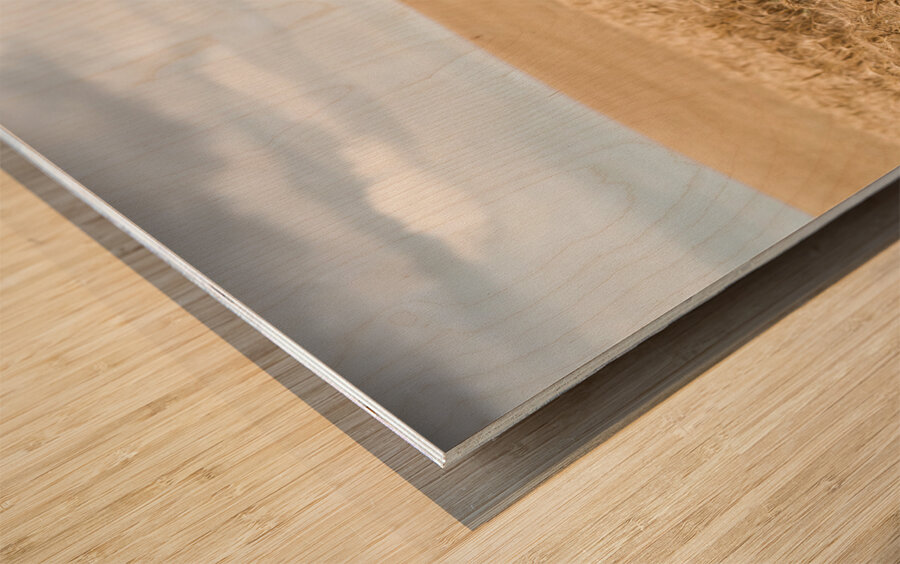 Fields Of Wheat Wood print