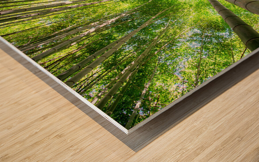 Bamboo Forest Wood print