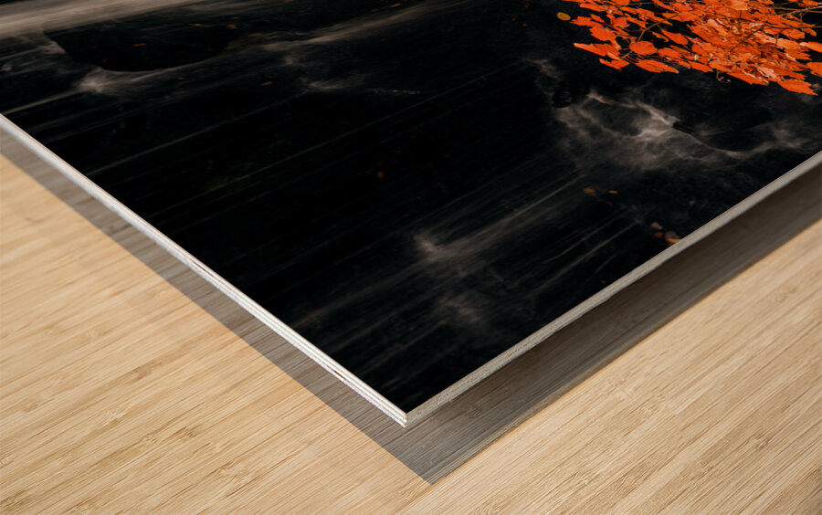 Autumn Waterfall Wood print