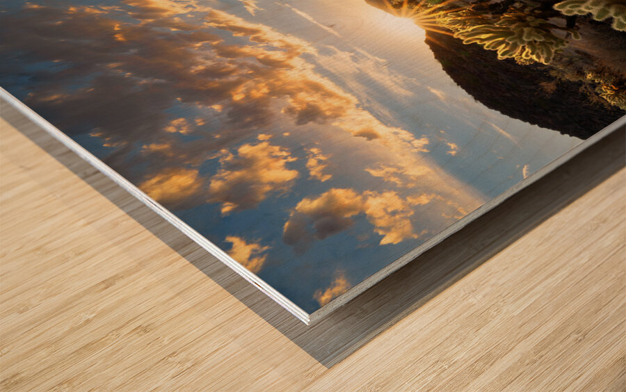 Cactus Garden At Sunset Wood print