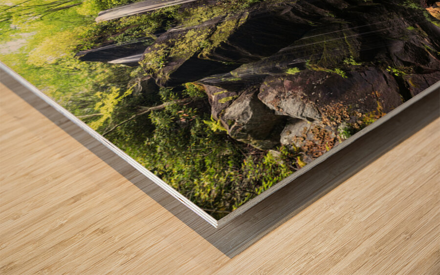 Hidden Falls Wood print