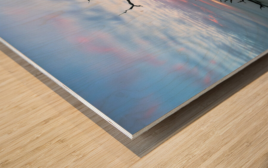 The Last Standing Tree Wood print