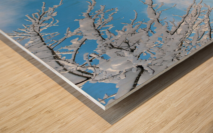 Snowy Skies Wood print