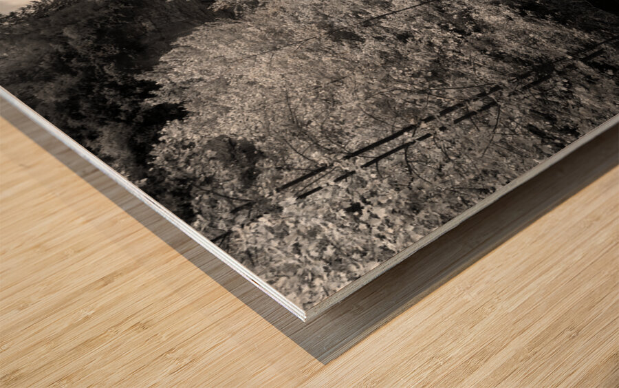 Southern Waterfall Wood print