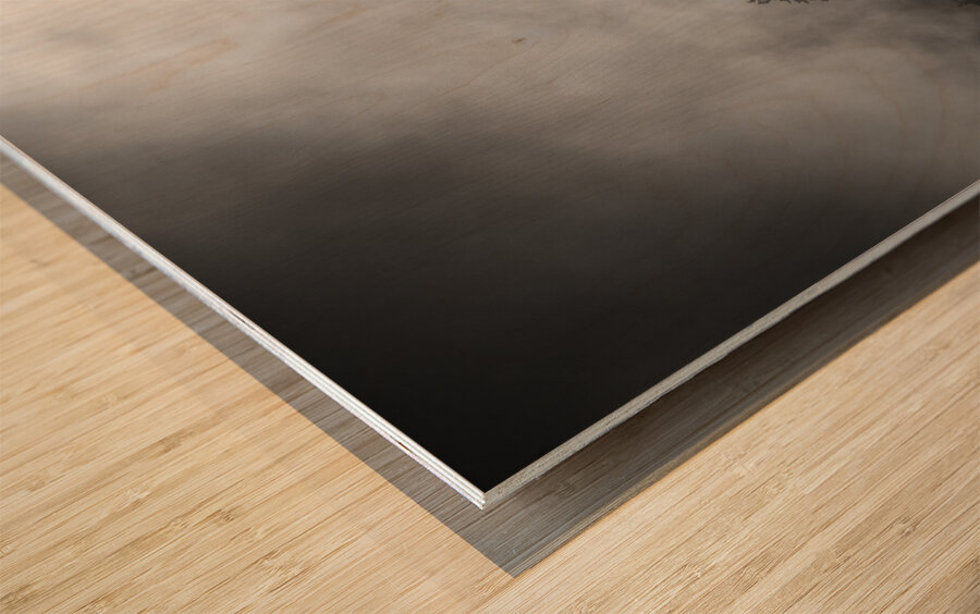 Smoky Trees Impression sur bois