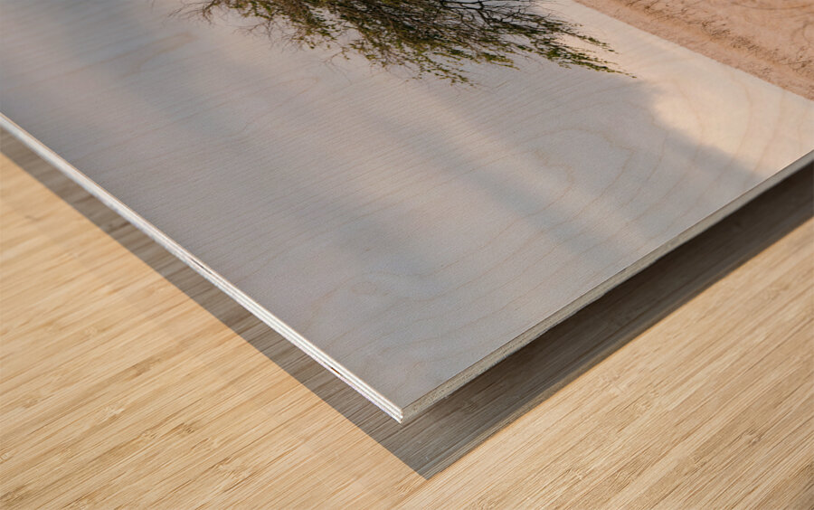 Shaped By Wind Wood print