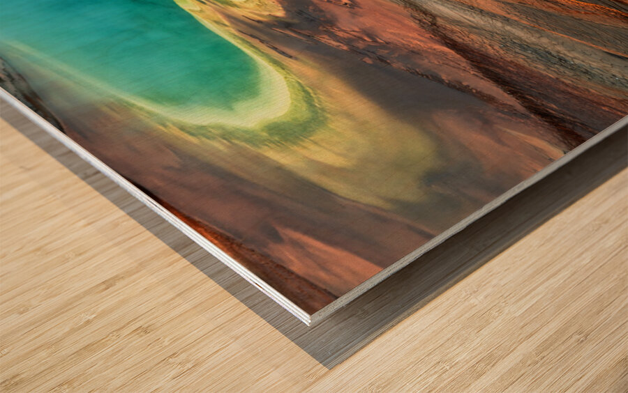 Colors Of Our Planet Wood print