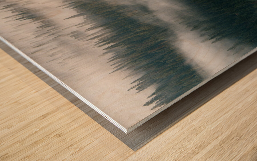 Foggy Mornings In The Valley Wood print