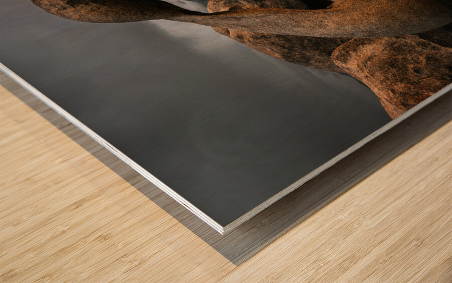 Eye Of The Storm Wood print